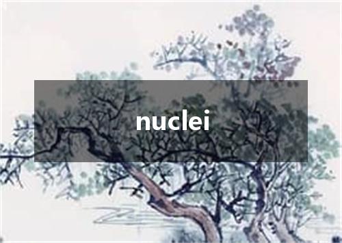 nuclei是什么意思