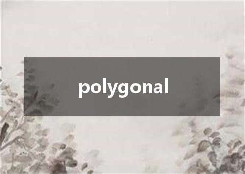 polygonal是什么意思