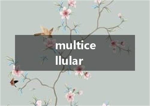 multicellular是什么意思