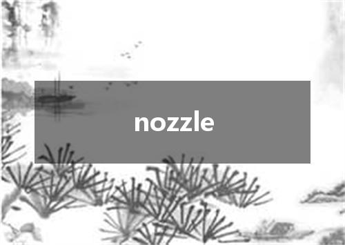 nozzle是什么意思