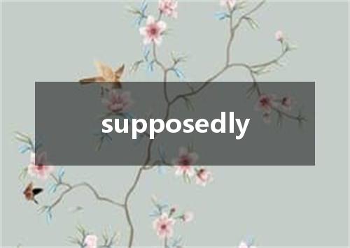 supposedly是什么意思