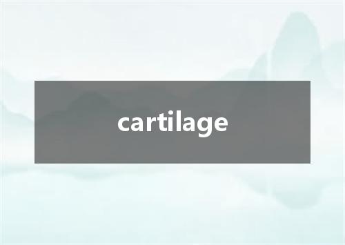 cartilage是什么意思
