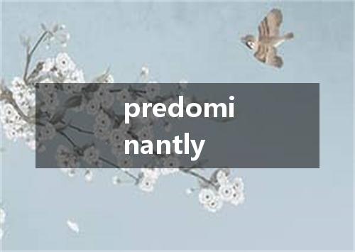 predominantly是什么意思