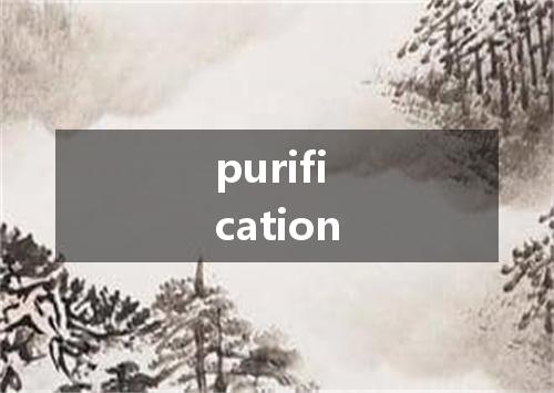 purification是什么意思