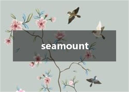 seamount是什么意思