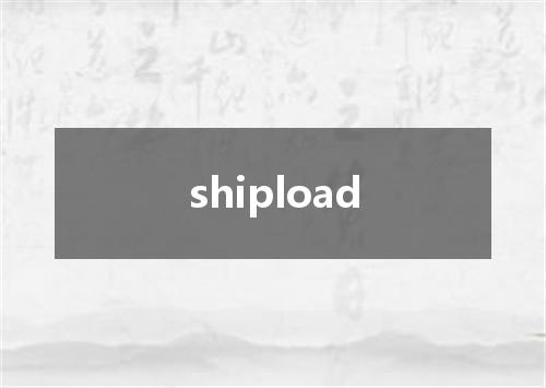 shipload是什么意思