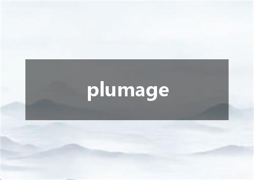 plumage是什么意思