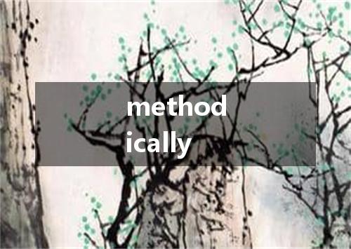 methodically是什么意思