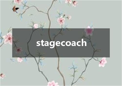 stagecoach是什么意思
