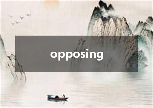 opposing是什么意思