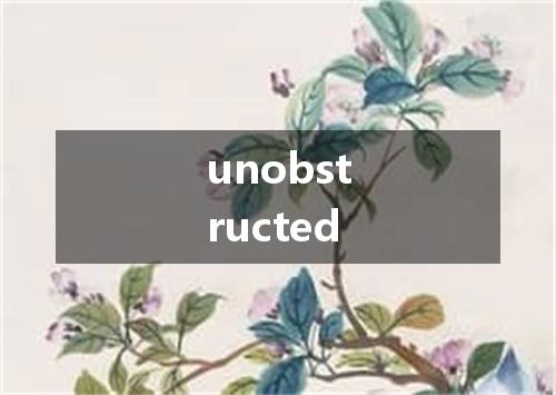 unobstructed是什么意思