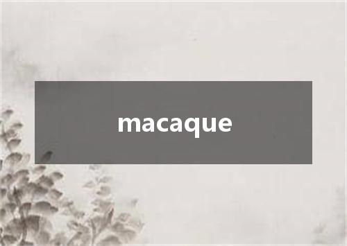 macaque是什么意思