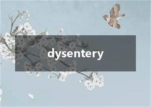 dysentery是什么意思