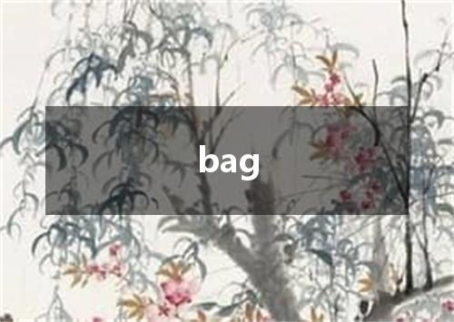 bag是什么意思