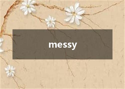 messy是什么意思
