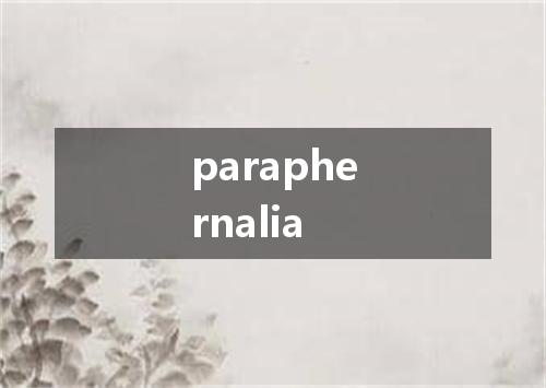 paraphernalia是什么意思