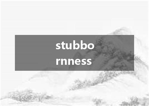 stubbornness是什么意思