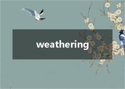 weathering是什么意思