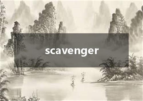 scavenger是什么意思