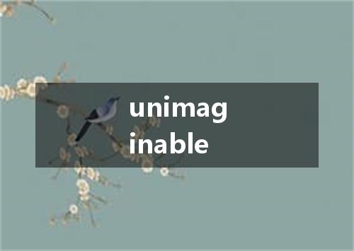 unimaginable是什么意思