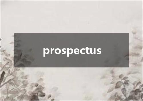 prospectus是什么意思