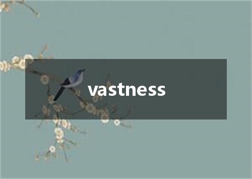 vastness是什么意思