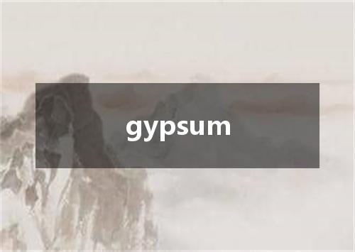 gypsum是什么意思
