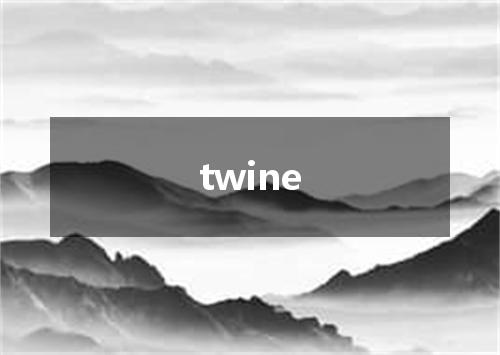 twine是什么意思