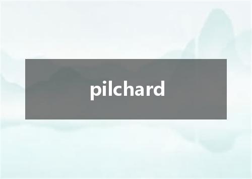 pilchard是什么意思