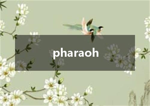 pharaoh是什么意思