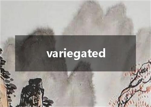variegated是什么意思