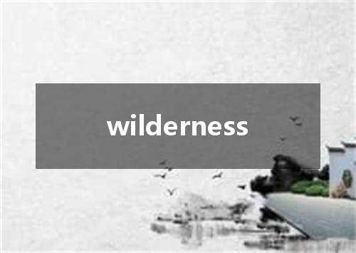 wilderness是什么意思