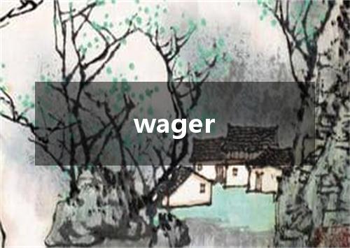 wager是什么意思
