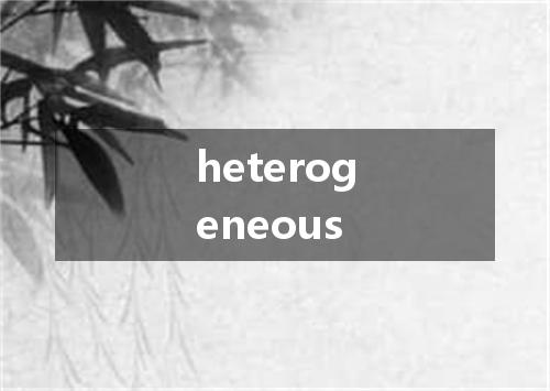 heterogeneous是什么意思