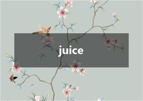 juice是什么意思