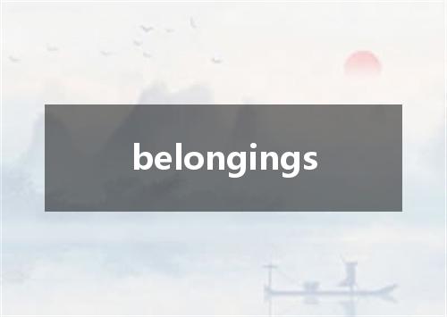 belongings是什么意思