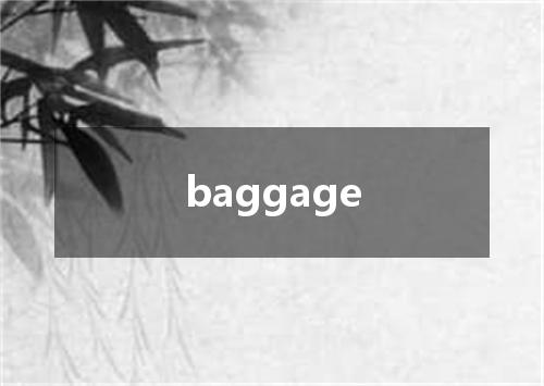 baggage是什么意思