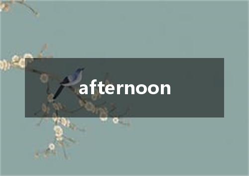 afternoon是什么意思