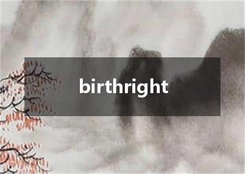 birthright是什么意思