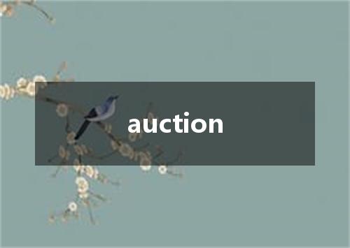 auction是什么意思