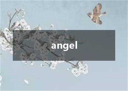angel是什么意思