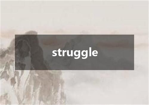 struggle是什么意思