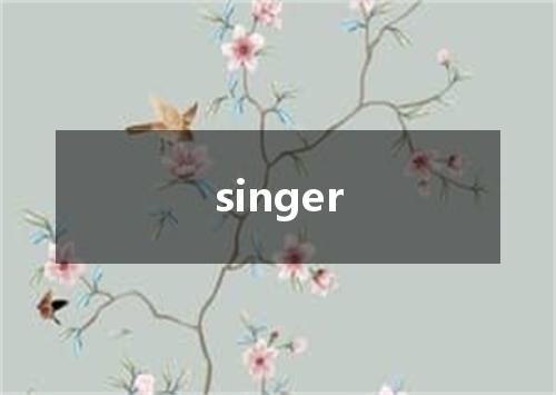 singer是什么意思