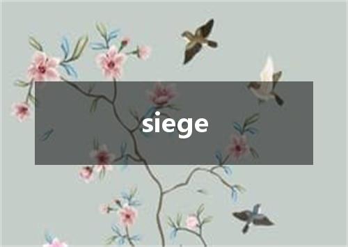 siege是什么意思