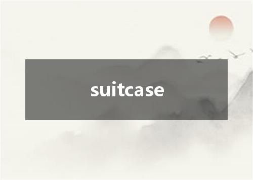 suitcase是什么意思