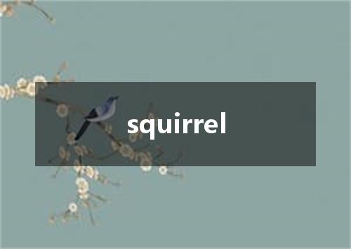 squirrel是什么意思