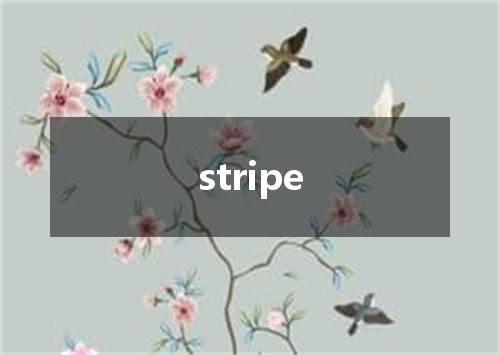 stripe是什么意思