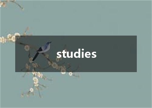 studies是什么意思
