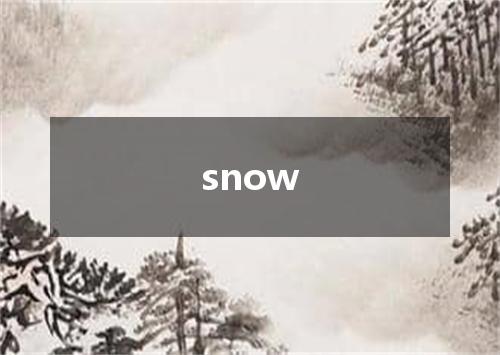 snow是什么意思