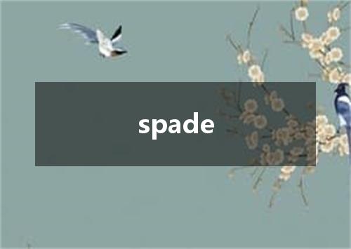 spade是什么意思